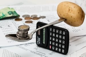 How to Turn Your Passion into Profit: A Guide to Monetizing Your Hobbies